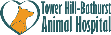 Tower Hill-Bathurst Animal Hospital